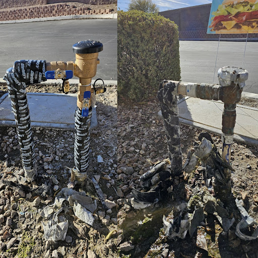 Sentinel Plumbing