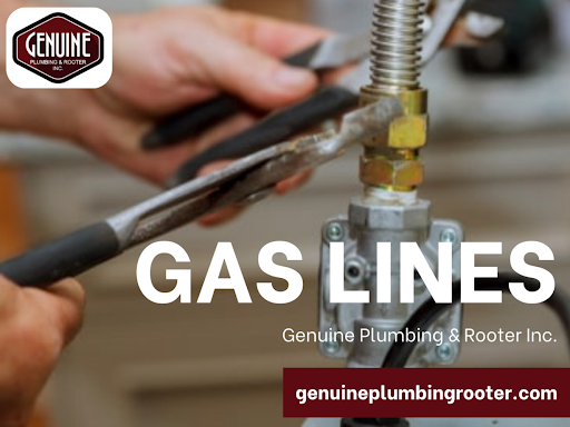 Genuine Plumbing and Rooter Inc.
