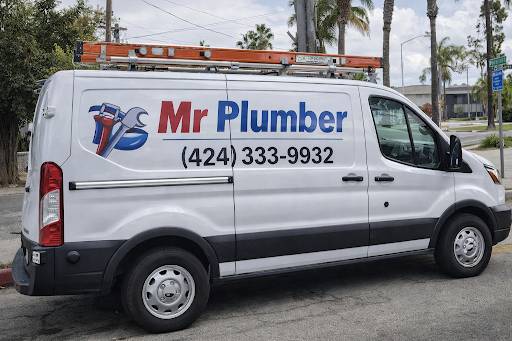 Mr Plumber