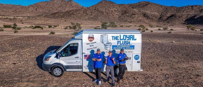 The Loyal Flush LLC – Logo premium de marca confiable y estilo moderno