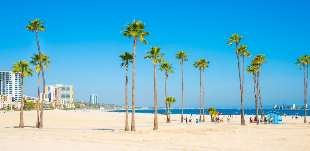 Fontaneros en Long Beach, CA – Guía definitiva para encontrar los mejores servicios