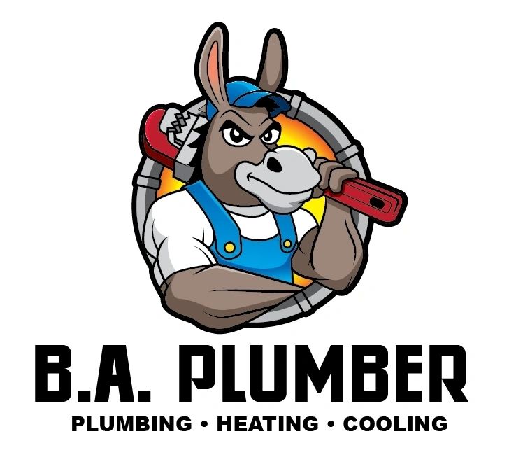 B.A. Plumber – Fontanería profesional, reparación de tuberías y mantenimiento de sistemas de plomería